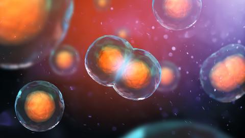 3d rendition of human cells